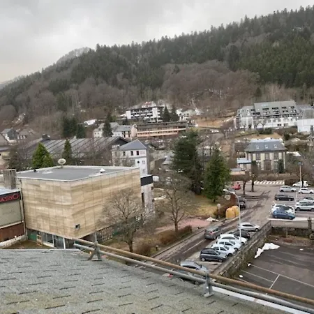 Apartment Charmant F2 Au Dernier Etage Avec Wifi, Centre-du-mont-dore, Equipe, Pour 4 Pers. - Fr-1-415-109