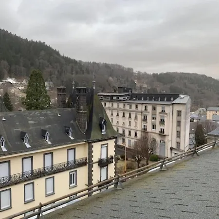 Apartment Charmant F2 Au Dernier Etage Avec Wifi, Centre-du-mont-dore, Equipe, Pour 4 Pers. - Fr-1-415-109